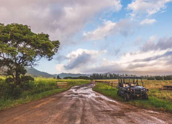 Kipu Ranch Kauai © Joel Hartz