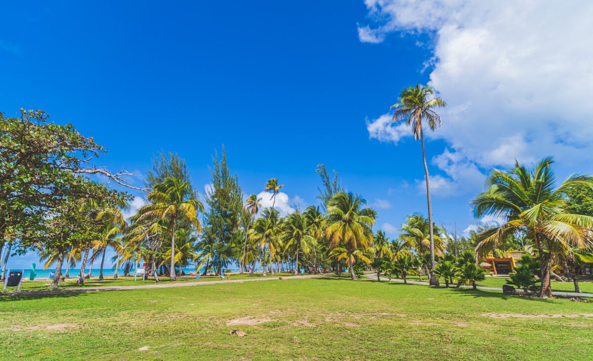 © Joel Hartz, the wandering hartz, Luquillo Beach, Puerto Rico, work remotely from Puerto Rico