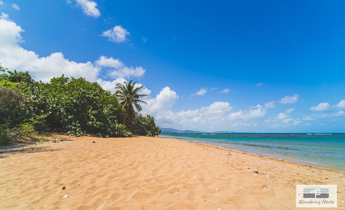 Exploring the Hidden Beachs of Puerto Rico - Playa Escondida - The