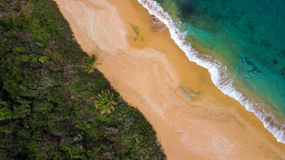 Overhead shot of Playa Colora by Joel Hartz