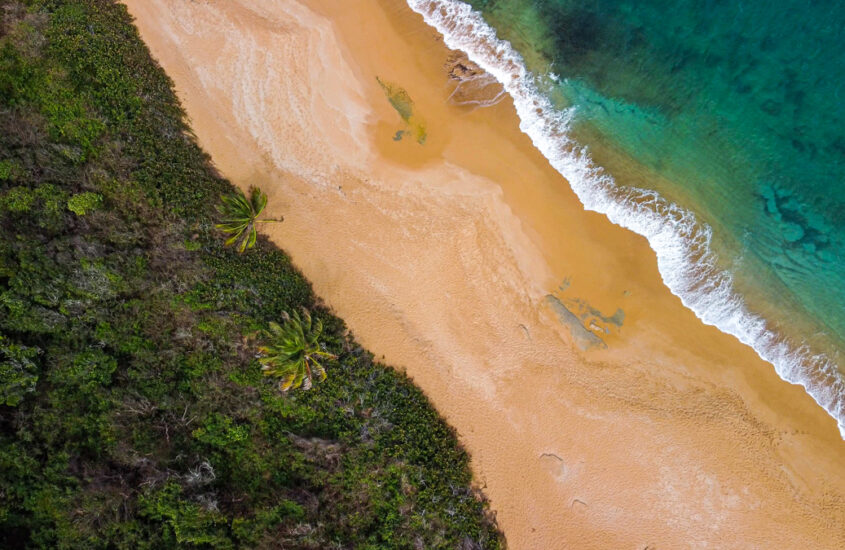Overhead shot of Playa Colora by Joel Hartz