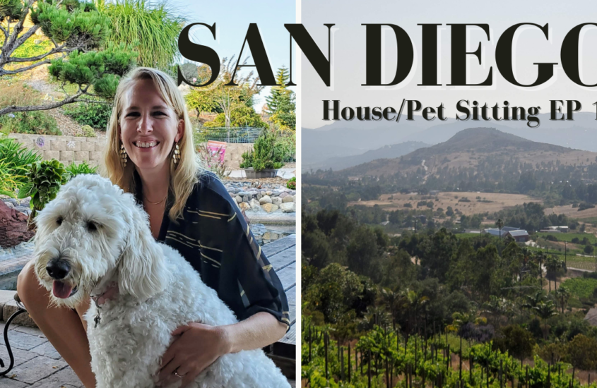 A Golden Doodle Wine and Travel – Adventures in Pet Sitting in Sunny San Diego