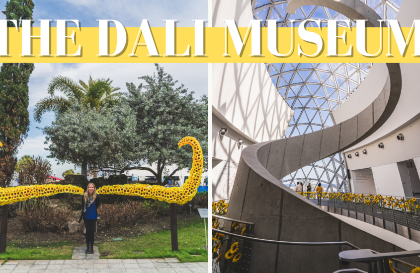 The Dali Museum: A Surreal Florida Experience you won’t soon forget