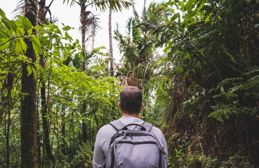 Visiting Puerto Rico: El Yunque National RainForest in 2024