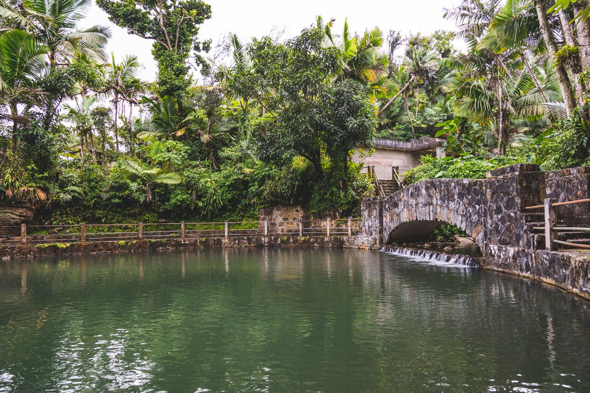 Visiting Puerto Rico El Yunque National RainForest in 2024 The