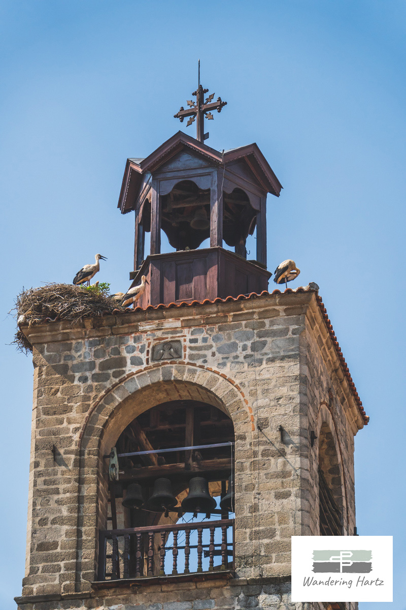 close up image of storks nesting atop of the Holy Trinity Church in Bansko, Bulgaria