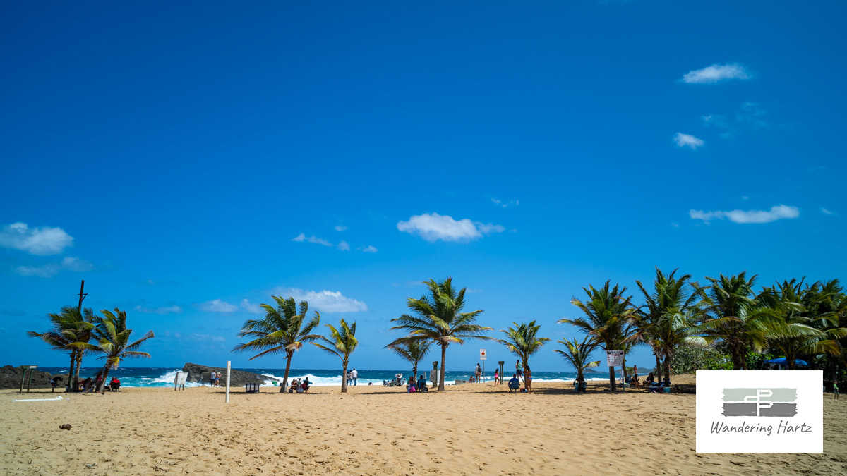 wide view of Playa La Poza del Obispo and palm trees with beach goers underneath