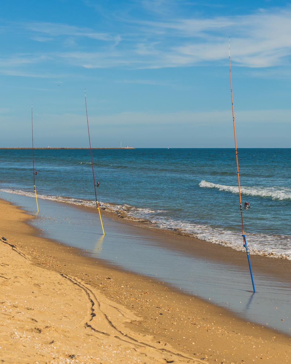 View of fishing poles secured in the sandy beach of Praia de Santo António in Vila Real de Santo Antonio © Joel Hartz