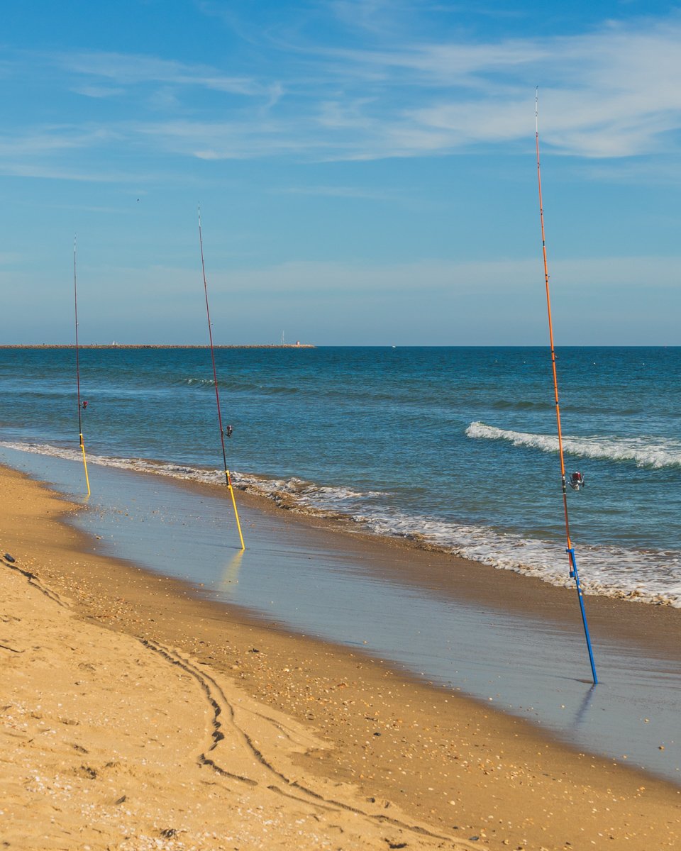 View of fishing poles secured in the sandy beach of Praia de Santo António in Vila Real de Santo Antonio © Joel Hartz