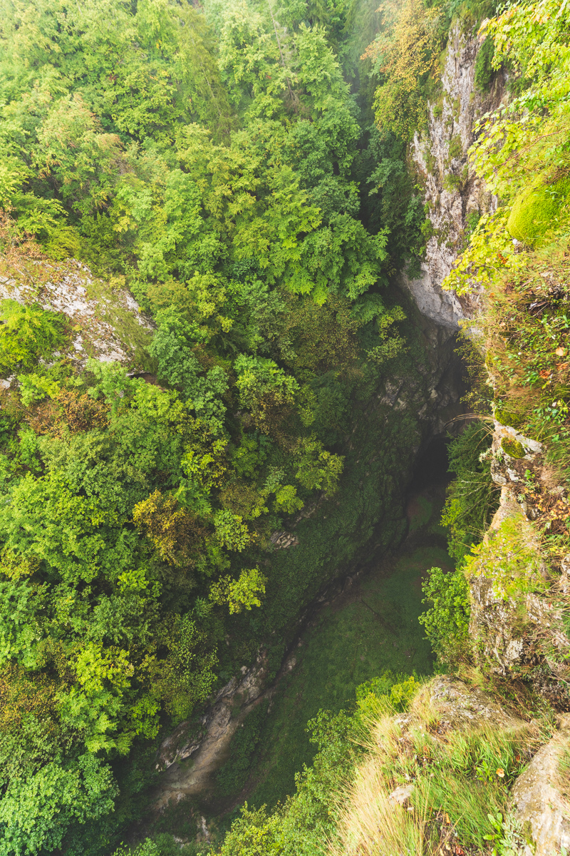 View from above the Macocha abyss in Moravian Karst Czech Republic
