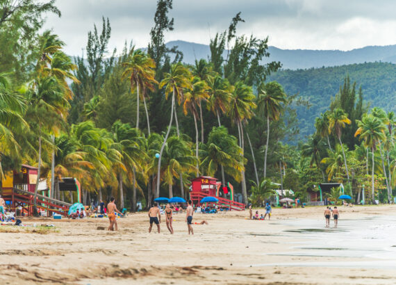 people enjoying the beach in Puerto Rico with palm trees in background