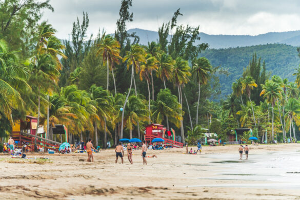 people enjoying the beach in Puerto Rico with palm trees in background